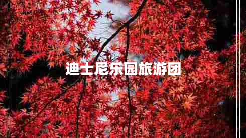 迪士尼樂(lè )園旅游團