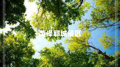菏澤鄆城景區
