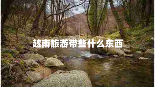 越南旅游帶些什么東西