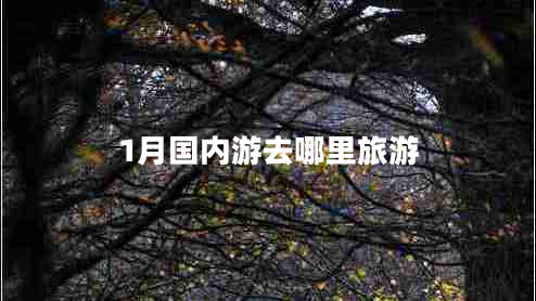 1月國內游去哪里旅游