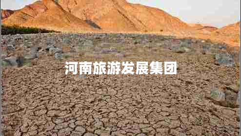河南旅游發(fā)展集團