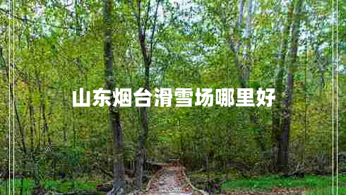 山東煙臺滑雪場(chǎng)哪里好