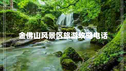 金佛山風(fēng)景區旅游攻略電話(huà)
