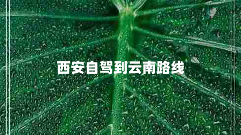 西安自駕到云南路線(xiàn)