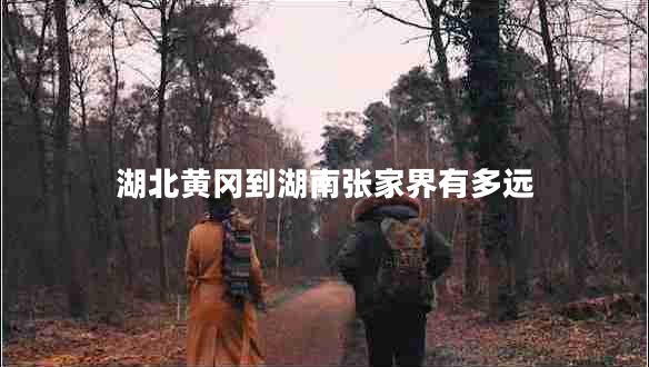 湖北黃岡到湖南張家界有多遠