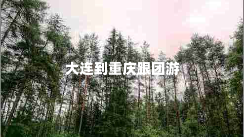 大連到重慶跟團游