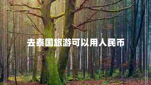 去泰國旅游可以用人民幣
