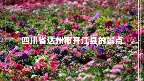 四川省達州市開(kāi)江縣的景點(diǎn)