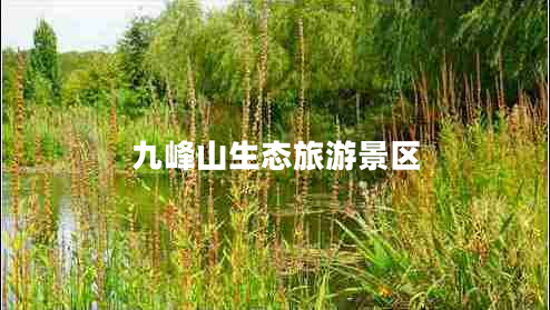 九峰山生態(tài)旅游景區