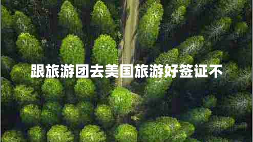跟旅游團去美國旅游好簽證不