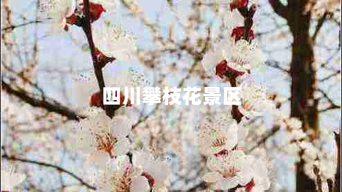 四川攀枝花景區