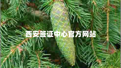 西安簽證中心官方網(wǎng)站