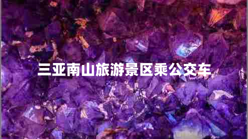 三亞南山旅游景區乘公交車(chē)
