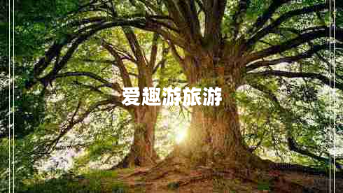 愛(ài)趣游旅游