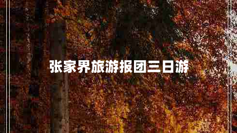 張家界旅游報團三日游