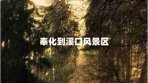 奉化到溪口風(fēng)景區