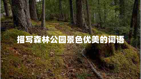 描寫(xiě)森林公園景色優(yōu)美的詞語(yǔ)