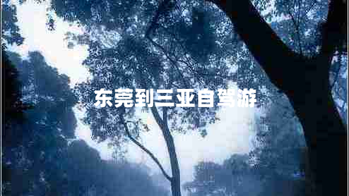 東莞到三亞自駕游