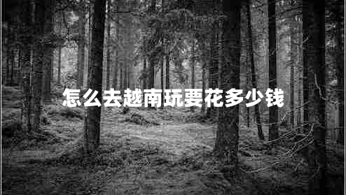 怎么去越南玩要花多少錢(qián)
