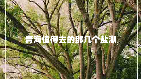 青海值得去的那幾個(gè)鹽湖