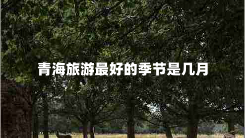 青海旅游最好的季節是幾月
