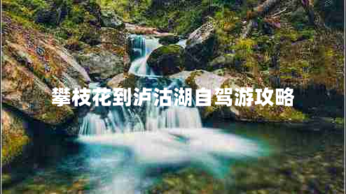 攀枝花到瀘沽湖自駕游攻略