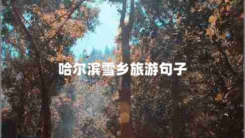 哈爾濱雪鄉旅游句子