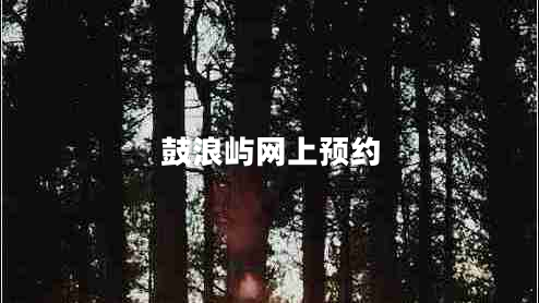 鼓浪嶼網(wǎng)上預約