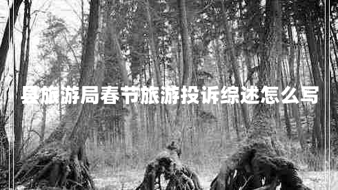 縣旅游局春節旅游投訴綜述怎么寫(xiě)