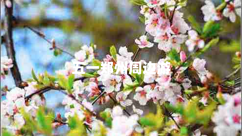 五一鄭州周邊游