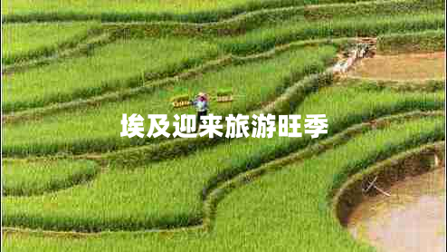 埃及迎來(lái)旅游旺季