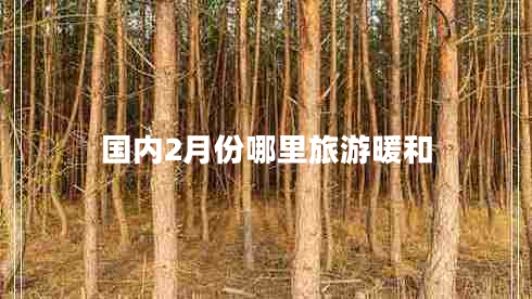 國內2月份哪里旅游暖和