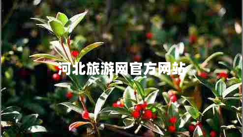 河北旅游網(wǎng)官方網(wǎng)站