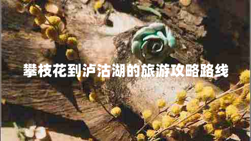 攀枝花到瀘沽湖的旅游攻略路線(xiàn)