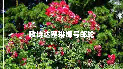 歌詩(shī)達塞琳娜號郵輪