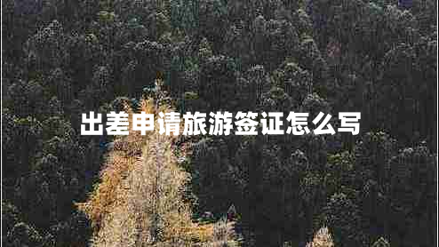 出差申請旅游簽證怎么寫(xiě)