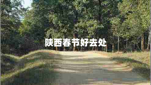 陜西春節好去處