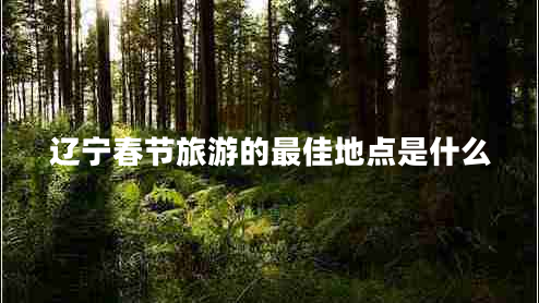 遼寧春節旅游的最佳地點(diǎn)是什么