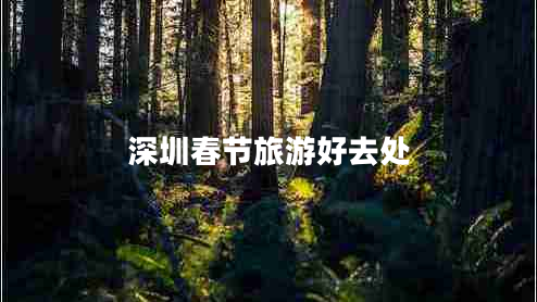 深圳春節旅游好去處