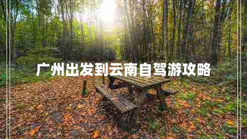 廣州出發(fā)到云南自駕游攻略