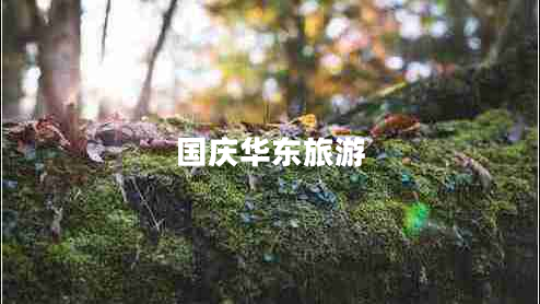 國慶華東旅游