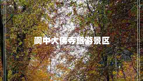 閬中大佛寺旅游景區