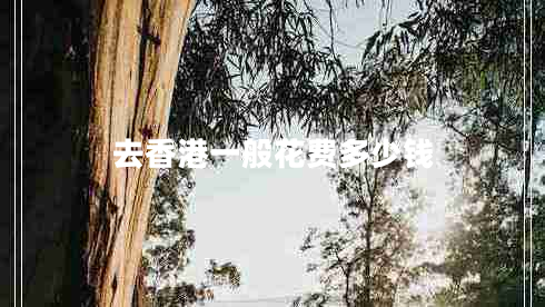 去香港一般花費多少錢(qián)