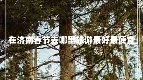 在濟南春節去哪里旅游最好最便宜