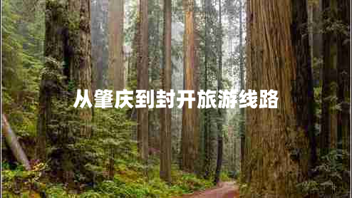 從肇慶到封開(kāi)旅游線(xiàn)路