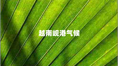 越南峴港氣候