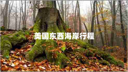美國東西海岸行程
