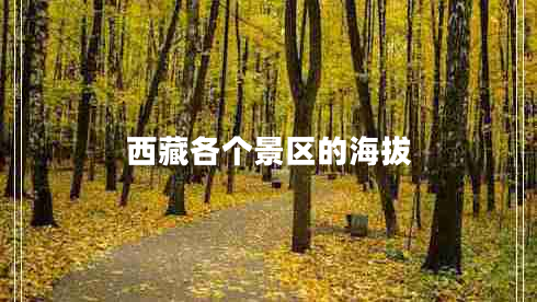 西藏各個(gè)景區的海拔