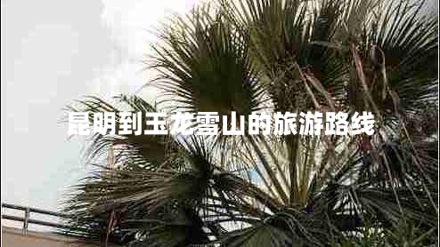 昆明到玉龍雪山的旅游路線(xiàn)