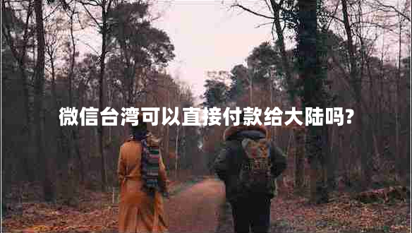 微信臺灣可以直接付款給大陸嗎?